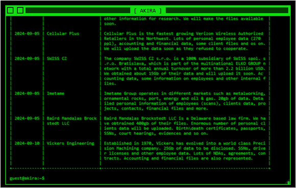 Akira backend green text