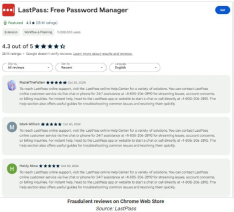 Fake Review Password Manager Screenshot